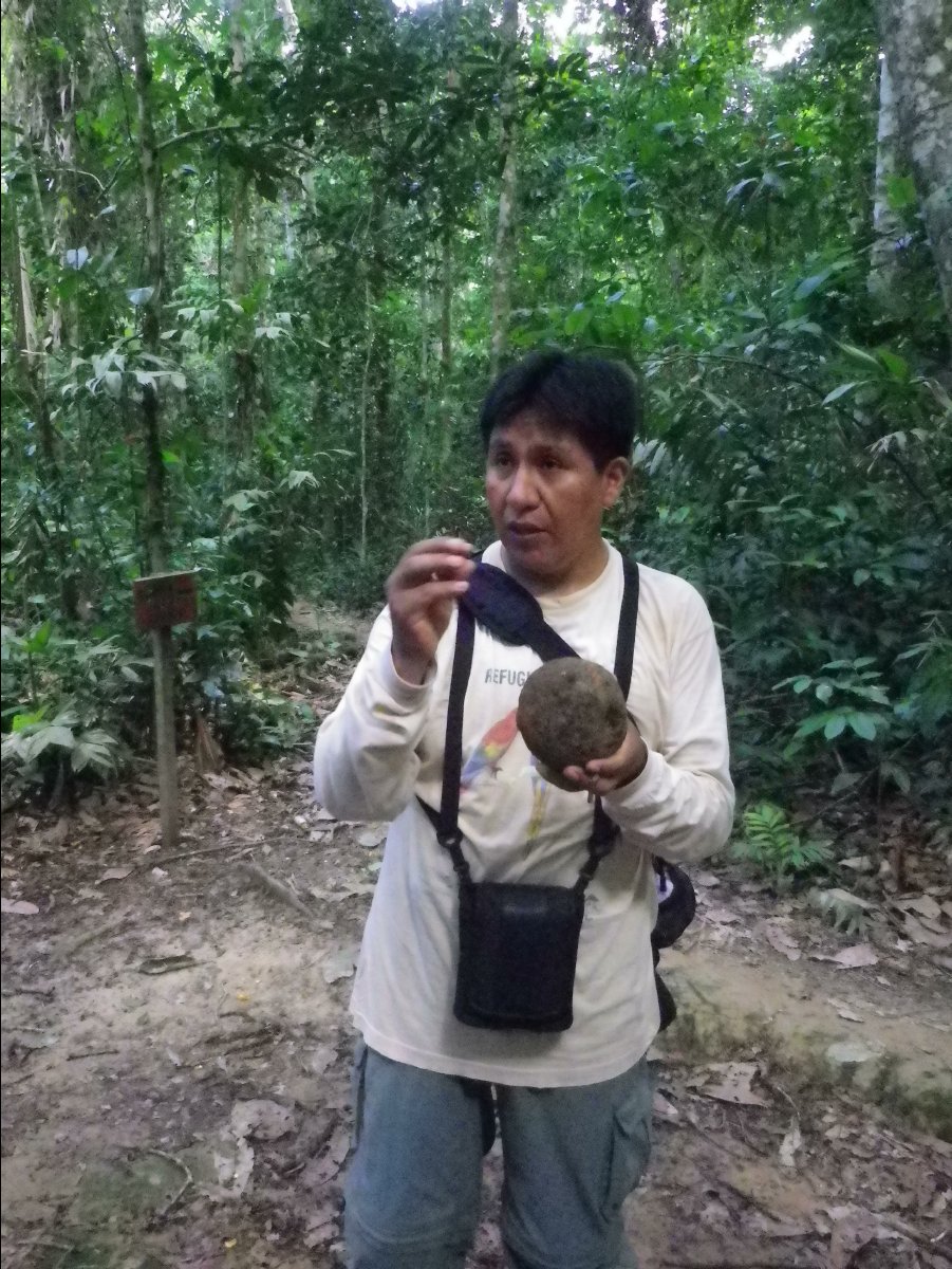 Amazon - Peru22
